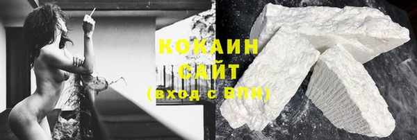 гидра Магас
