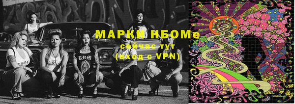 прущие грибы Майский
