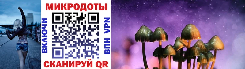 дарнет шоп  Липецк  Псилоцибиновые грибы Cubensis 