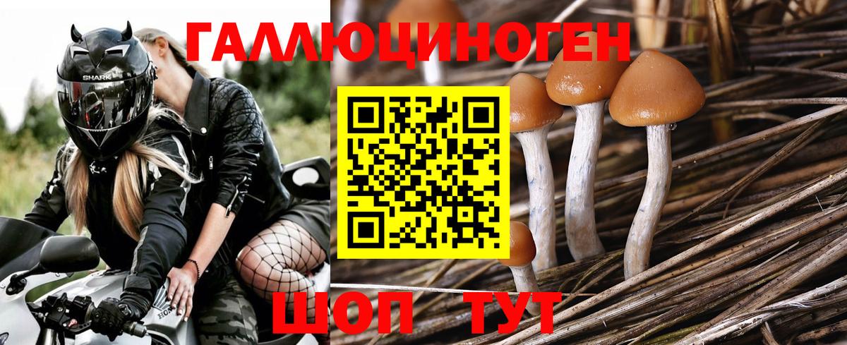 MDMA Липецк