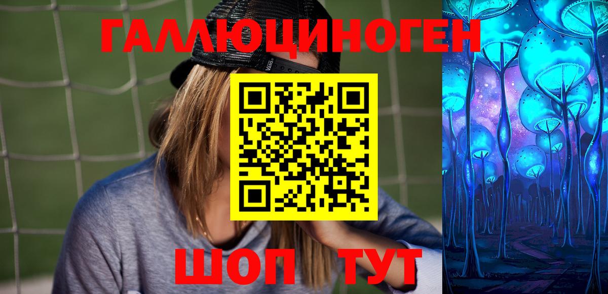Галлюциногенные грибы Psilocybe Липецк