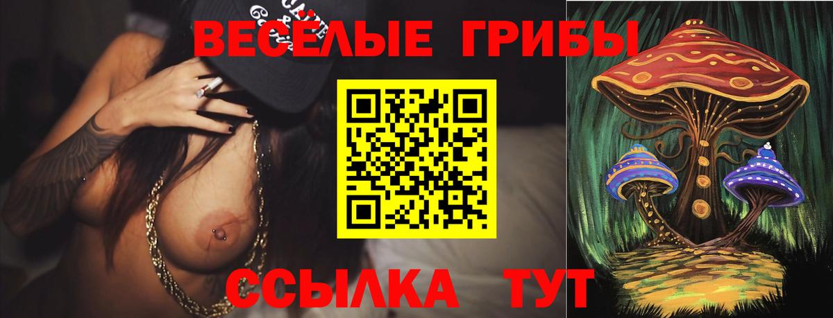 Псилоцибиновые грибы Psilocybine cubensis  Вход с VPN  Липецк  закладки  Галлюциногенные грибы ЛСД 